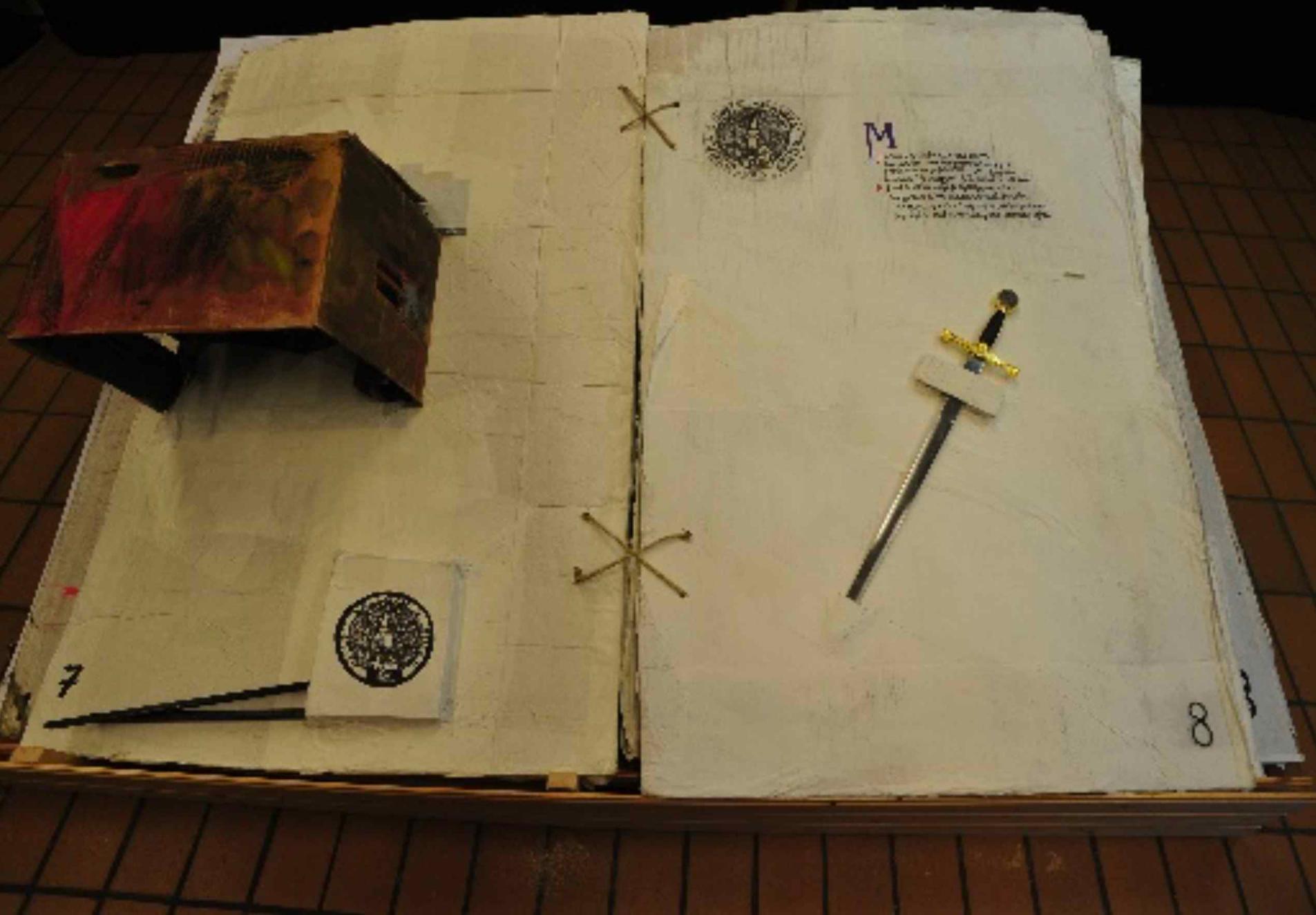 Der Rhein und sein Gold (Buch)